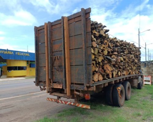 Caminhão com madeira nativa é apreendido na BR-010