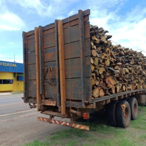 Caminhão com madeira nativa é apreendido na BR-010