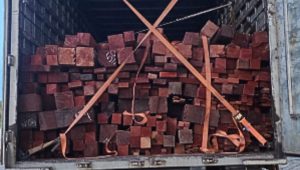 Foto: reprodução/PRF