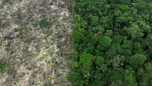 Maranhão tem a 4ª maior queda em desmatamento da Amazônia