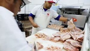 16 países retomam a importação de carne de aves do Brasil