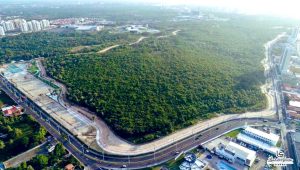 Parque Estadual do Rangedor (Foto: reprodução)