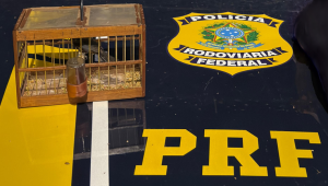 Foto: divulgação PRF