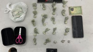 Suspeito é preso com mais de 20 pacotes de drogas na Liberdade
