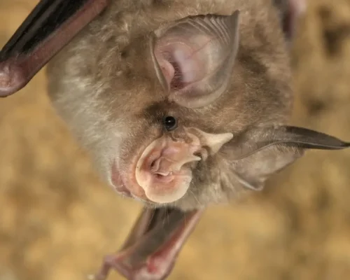 Imagem meramente ilustrativa 