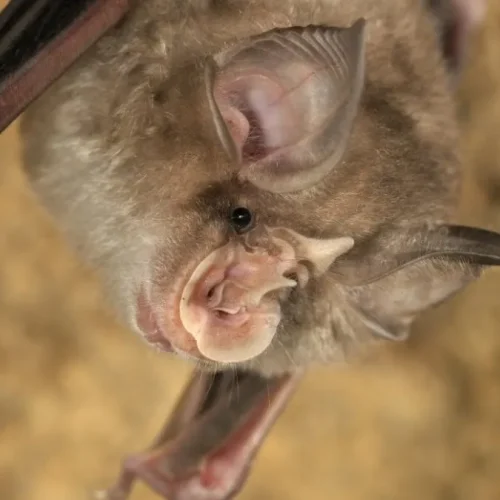 Imagem meramente ilustrativa 