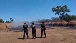 Foto: divulgação/ PF