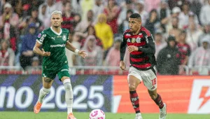  Gilvan de Souza/Flamengo/Direitos Reservados