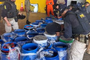 Caminhoneiro é preso com carga de mais de uma tonelada de maconha em Balsas