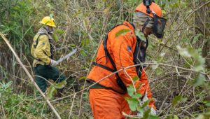 Foto: reprodução/Vitor Vasconcelos