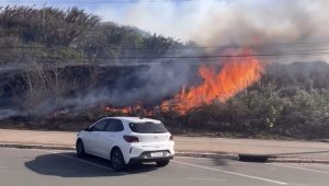 Incêndio em vegetação na região da Avenida Litorânea é contido pelo Corpo de Bombeiros