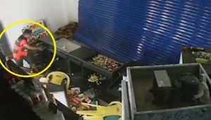 Foto: Reprodução/ Rede social