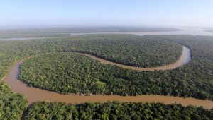 Governo lança chamada pública de R$ 150 milhões para restaurar terras indígenas, incluindo o Maranhão