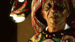 Boi de Leonardo Foto: reprodução