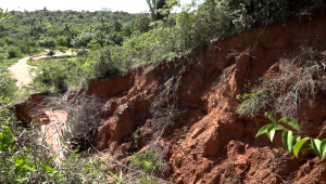 Foto; reprodução TV Difusora 