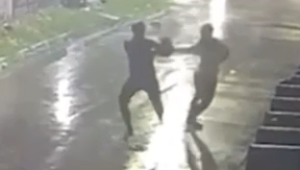 Vídeo: mulher reage e luta com criminoso para tentar impedir assalto