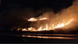 São Luís registra série de incêndios em áreas de vegetação