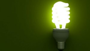 Conta de luz segue sem cobrança extra em abril, confirma Aneel