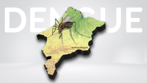Maranhão registra mais de 1.000 casos confirmados de dengue