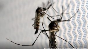 Foto: Reprodução/Agência Brasil