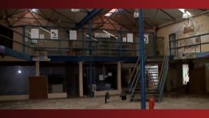 Artistas criticam abandono do prédio Odylo Costa Filho