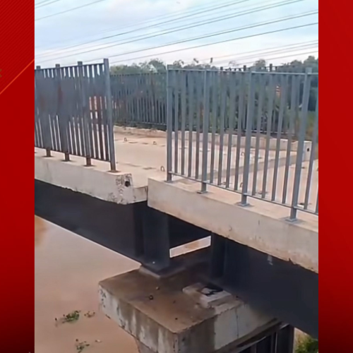 Foto: reprodução/redes sociais 