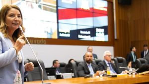 “Foi feita justiça”, diz Iracema Vale após STF confirmar legalidade de eleição na Assembleia Legislativa