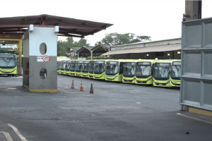 Foto: reprodução/Tv Difusora 