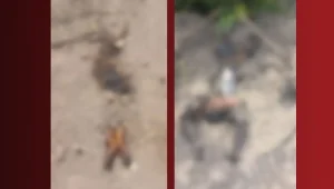 Anapurus: perícia identifica corpos achados em decomposição