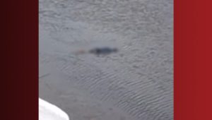 Três mortes foram registradas neste fim de semana na Grande Ilha de São Luís