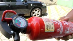 Projeto, que já passou por duas comissões da Casa. Foto: Cristino Martins/Agência Pará