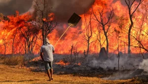 Maranhão terá R$ 45 milhões do Fundo Amazônia para o combate a incêndios