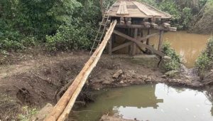 Foto: Reproduão/Rede social