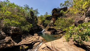 Sebrae prorroga inscrições para o Inova Cerrado até 27 de abril
