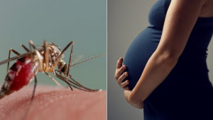 Aumento de dengue em grávidas: riscos e prevenção