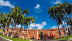 Salão de Arte Coletiva de Maio 2025 será aberto nesta quarta-feira (7), com obras de maranhenses