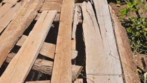 Foto: divulgação/MPMA