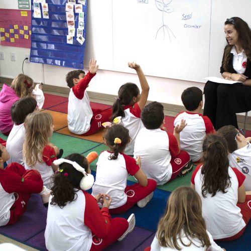 Escola no Renascença abre vaga de estágio para Biblioteconomia e Unilingue