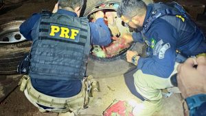 Na mesma semana, mais um caminhão é apreendido com mais de 188 kg de drogas escondida nos pneus