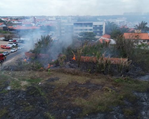 Vídeo: área de mata pega fogo próximo a Avenida Litorânea, em São Luís