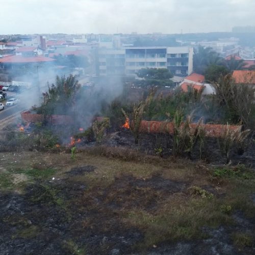 Vídeo: área de mata pega fogo próximo a Avenida Litorânea, em São Luís