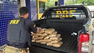 Homem é preso com mais de 23 kg de “supermaconha” escondida em carro em Jenipapo dos Vieiras