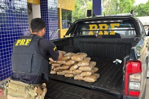 Homem é preso com mais de 23 kg de “supermaconha” escondida em carro em Jenipapo dos Vieiras