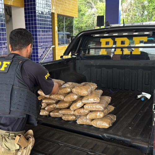 Homem é preso com mais de 23 kg de “supermaconha” escondida em carro em Jenipapo dos Vieiras