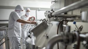 Industria de laticínios em Açailândia contrata Auxiliar de Fabricação