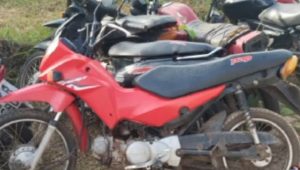 Foto: Reprodução/site Carlinhos Filho