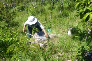 Obras e ocupações irregulares em área de fósseis em Duque Bacelar são suspensas pela Justiça