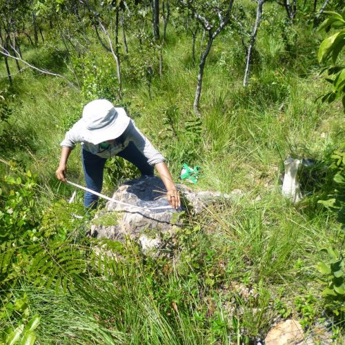 Obras e ocupações irregulares em área de fósseis em Duque Bacelar são suspensas pela Justiça