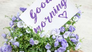 Perspective: Seeing Life Through New Eyes