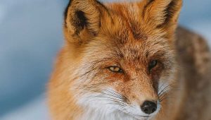 Learning to Embrace My Imperfections